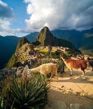 Machu Picchu Wonder of the World